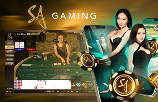 ทางเข้า SAGAME คืออะไร